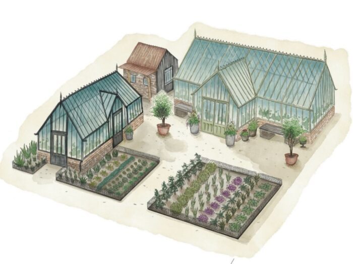 Sketch of Alitex garden at RHS Chelsea Flower Show 2024