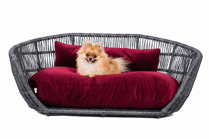 velvet dog bed in black rattan frame from cuckooland