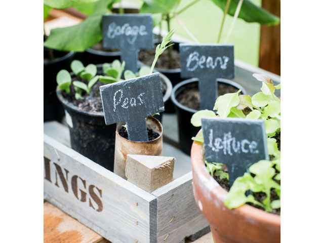 growing own vegetables in small grouped pots from garden trading SS19 collection