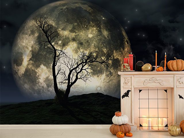 A full moon on the wall with this nightscape