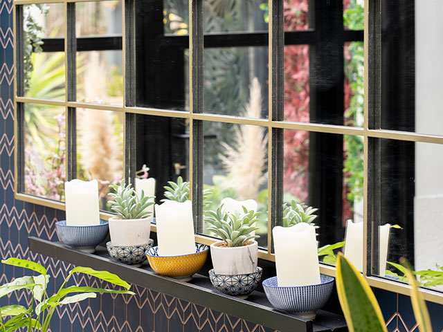 Plants on window ledge