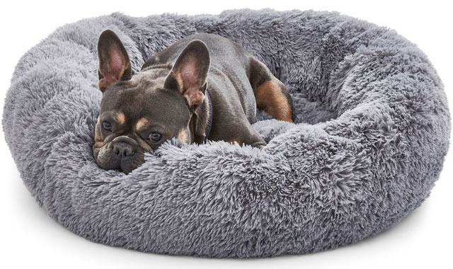 Silentnight doughnut dog bed for French bulldog