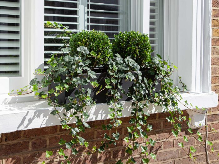Keeping it simple is key when it comes to window boxes