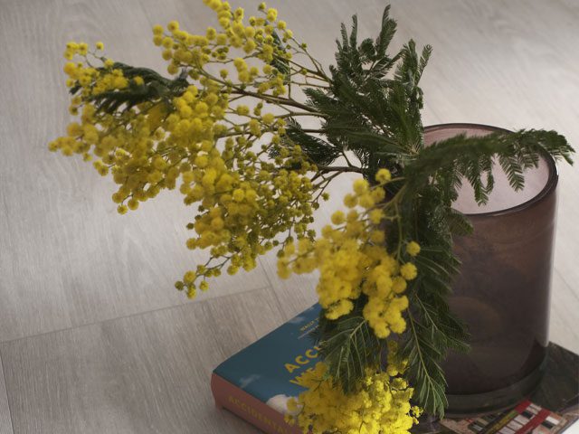 The Wood Flooring Co competition with the No-Vinyl Floor Tile