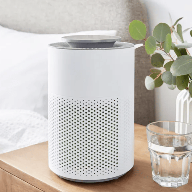 air purifier allergy home hay fever season